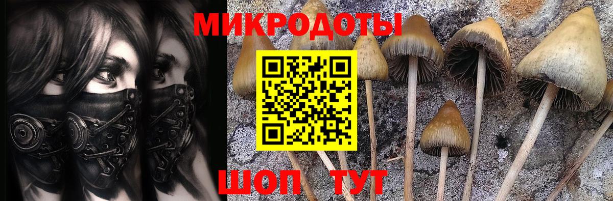 Псилоцибиновые грибы Cubensis  магазин    Чайковский  Вход с VPN 